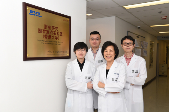 HKUMed identifies an important TIGIT-NECTIN2 immune checkpoint axis, leading into new treatment direction for liver cancer. The research team includes (front row from right): Professor Irene Ng, Chair Professor of the Department of Pathology, Loke Yew Professor in Pathology, HKUMed and Director of the State Key Laboratory of Liver Research (HKU); Dr Karen Sze Man-fong, Assistant Research Officer, Department of Pathology, HKUMed; (back row from right) Dr Tsui Yu-man, Post-doctoral Fellow and Dr Daniel Ho Wai-hung, Assistant Professor, Department of Pathology, HKUMed.
 